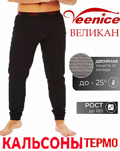 Термокальсоны мужские (большие размеры)  VEENICE